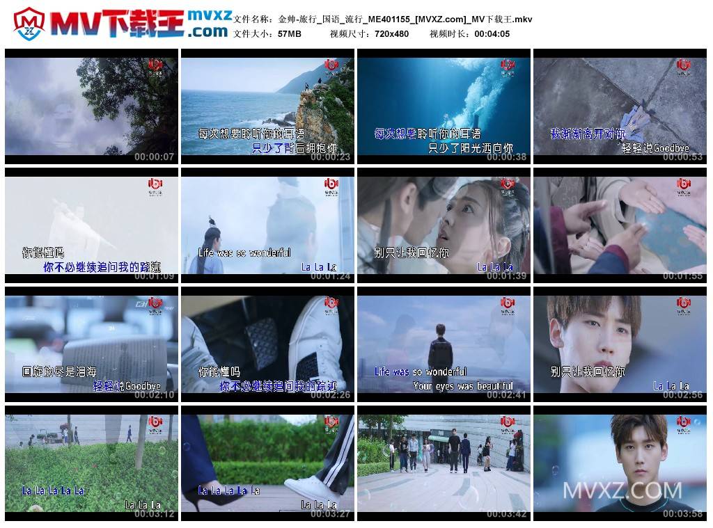 金帅-旅行_国语_流行_ME401155